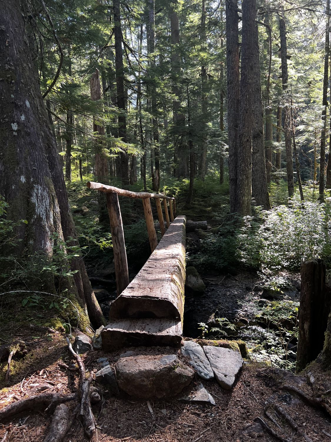 Mount Rainier NP 